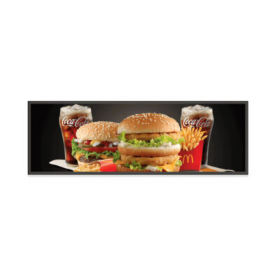 SH293W 29.4″ Stretched Display with 1920 x 720 Bar-Type LCD and 700 Nit Brightness