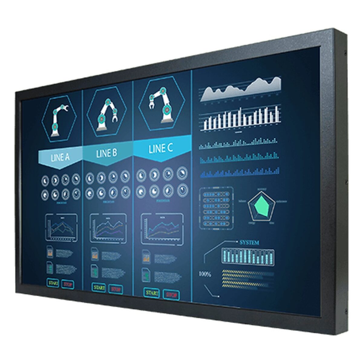 Winmate W24L100-CHS1 24 inch monitor, angled front view